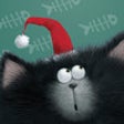 Icon of program: Christmas Splat