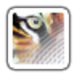 Icon of program: Strokes Maker