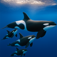 Icon of program: Orca Hunter: Killer Whale…