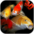 Icon of program: Koi HD Video Live Wallpap…