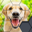 Icono de programa: Hexa Block Puzzle - Class…
