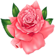 Icono de programa: Flowers Stickers for What…