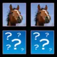 Icon of program: Horse Match HD