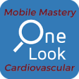 Icon of program: OneLook CV Mobile Mastery