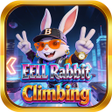 Icon of program: EELL Rabbit Climbing