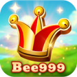 Icon of program: bee999ice