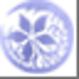 Icono de programa: True Remembrance