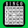 Icon of program: Bingo Card Maker