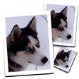 SmillaEnlarger icon