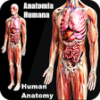 Icono de programa: Human anatomy. Study the …