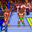 Icon of program: WWF WrestleFest