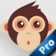 Icon of program: Monkey Super Jump PRO - B…