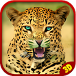 Icono de programa: Real Cheetah Attack Simul…