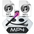 Icon of program: Convert Multiple MP4 File…