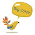 Icon of program: Big Voize