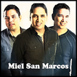 Icono de programa: Miel San Marcos - lbum Co…