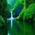 Icono de programa: Nature Wallpaper