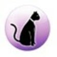 Icon of program: Esquemas y Patrones