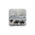Icon of program: Snow Daze