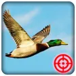 Icon of program: Duck Hunting Season: Wild…
