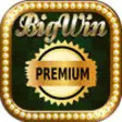 Icon of program: BIG WIN PREMIUM CASINO Sl…