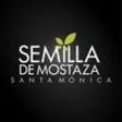 Icon of program: Semilla Santa Monica