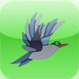 Icon of program: Bird Songs - Beautiful an…