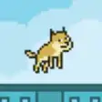Icon of program: Flappy Doge #1
