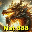 Icon of program: Nat 888