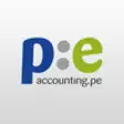 Icon of program: PE Accounting