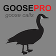 Icono de programa: Goose Calls for Hunting