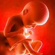 Icon of program: pregnancy app