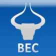 Icon of program: BEC Currency Converter