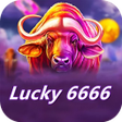 Lucky 6666 icon