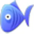 Icon of program: Dartfish Viewer