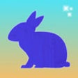 Shape Matcher icon