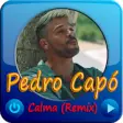 Icon of program: Calma (Remix) - Pedro Cap…