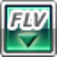 Icon of program: Flv Grabber