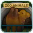 Icon of program: Zoo Animal Sounds