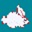 Icono del programa: Kid Connect Animals