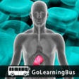 Icon of program: Learn Hepatitis and Diabe…