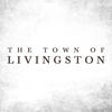 Icon of program: The Town of Livingston