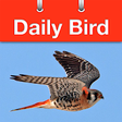 Icon of program: Daily Bird