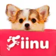 Icon of program: Look!Chihuahua