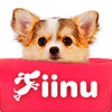 Icon of program: Look!Chihuahua