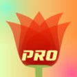 Icon of program: LiveDOF Pro - Blur Tiltsh…
