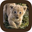 Icon of program: Free Animal Sounds