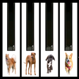 Icon of program: Dogs Barking Piano
