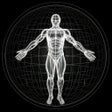 Icon of program: BodBot Personal Trainer