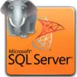Icon of program: MS SQL Server PostgreSQL …